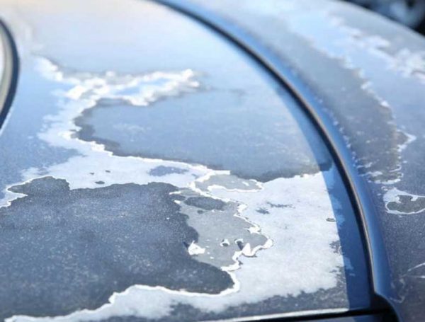 Protect Your Car from the Damaging Effects of Sun and Heat